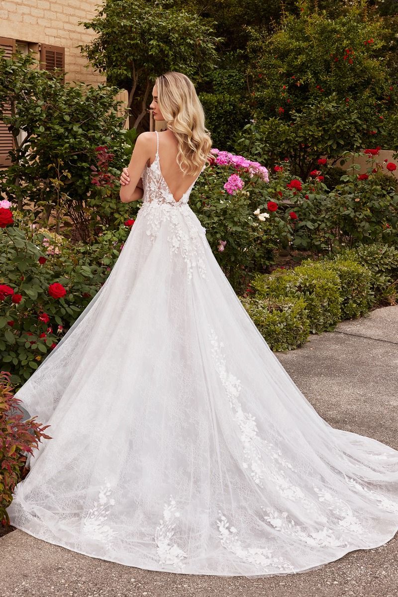 A-line wedding dress with lace